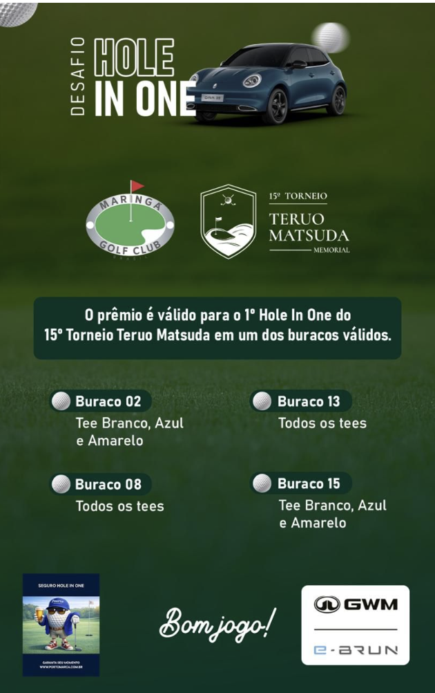 Registro de ativação Hole in One 7